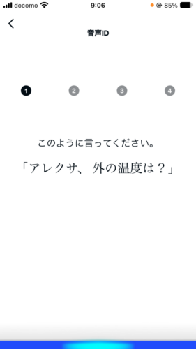 Screen asking you to say Alexa, what is the temperature outside